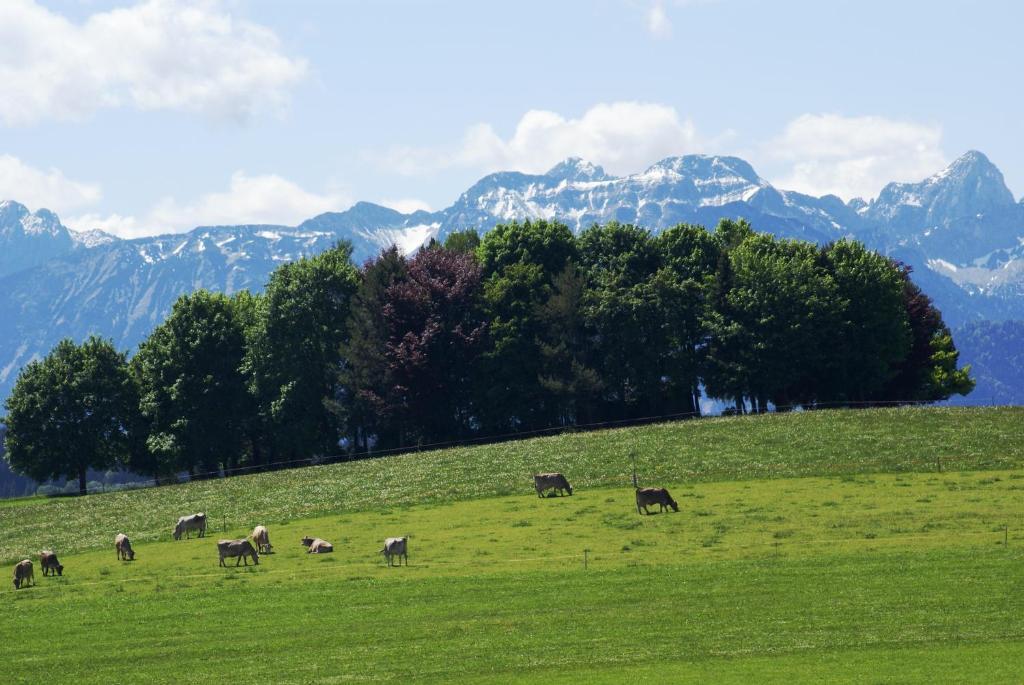 Landhaus Grobert ゼーク エクステリア 写真
